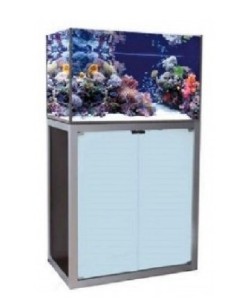 Vasca Professionale in vetro camera da 21mm per crostacei – astici – aragoste dalle misure 160x70x50h da 896 LT con supporto