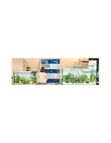 Vasca Acquario Artigianale Professionale  IN TOTAL VETRO EXTRA CHIARO - 120X40X50H -240LT  (CON SUPPORTO)