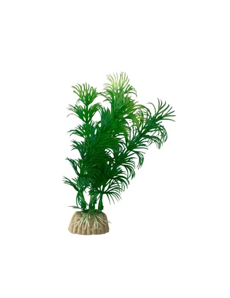 Aqpet One Mini Acquario in vetro 20 lt 36x22x26h cm