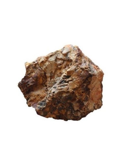 Aqpet zen stone rocce wood fossil al kilogrammo