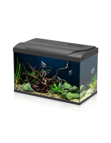 Aqpet Simply LED 60 Set Acquario Acqua Dolce Completo Di Luce LED, Filtro E Riscaldatore 60L