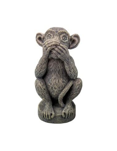 Aqpet Decorart Decori per Acquari mod. SCIMMIETTA NON PARLO