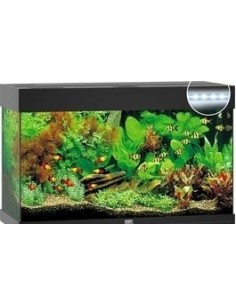 Juwel acquario Rio 125 nero con illuminazione a led (solo acquario - senza supporto)