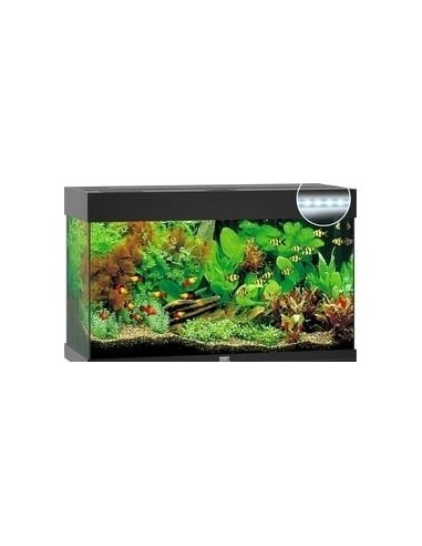 Juwel acquario Rio 125 nero con illuminazione a led (solo acquario - senza supporto)