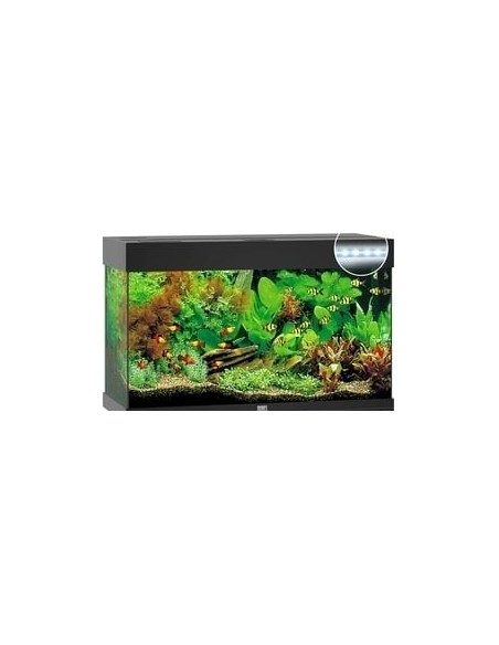 Juwel acquario Rio 125 nero con illuminazione a led (solo acquario - senza supporto)