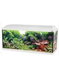 Zolux Acquario Iseo 80 completo  84 litri Nero