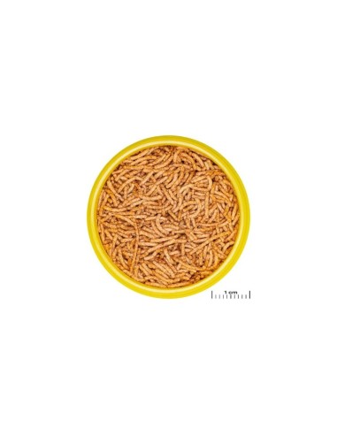 Jbl Mangime Pronovo Novo Red Insect Stick S 20ml