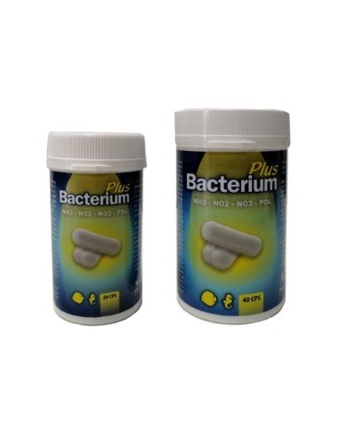 Aquili bacterium plus 20 capsule