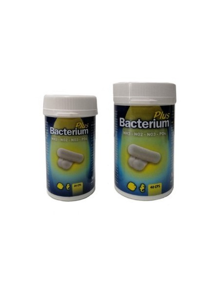 Aquili bacterium plus 20 capsule