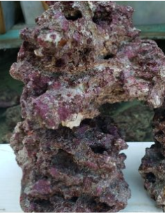 ROCCE TROPICALI VIVE INDONESIA QAUALITA' PREMIUM 2