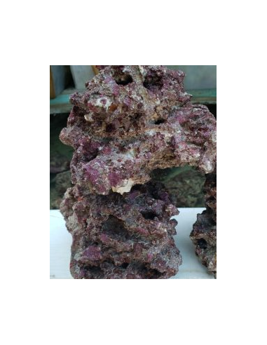 ROCCE VIVE TROPICALI VIVE INDONESIA (Qualità Premium)