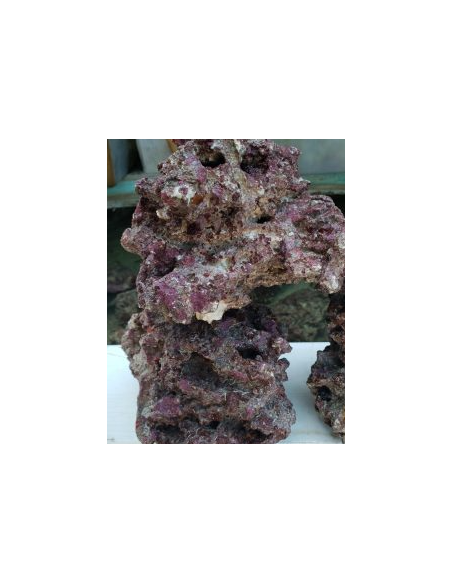 ROCCE VIVE TROPICALI VIVE INDONESIA (Qualità Premium)