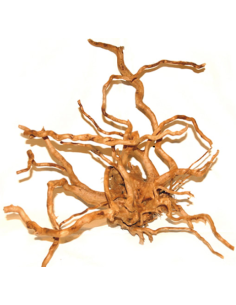 Zolux Legno Radice spellata red wood Extra Large da 60cm e oltre