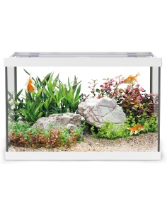 Aqpet One Mini Acquario in vetro 20LT Bianco