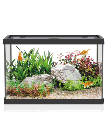 Aqpet One Mini Acquario in vetro 20LT - Nero - 36x22x26h cm