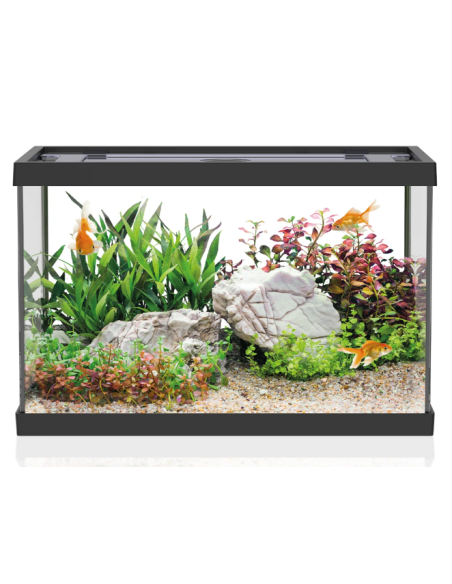Aqpet One Mini Acquario in vetro 20LT - Nero - 36x22x26h cm