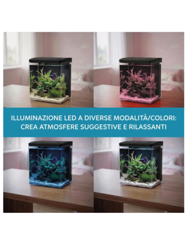 aqpet neya acquario 5 lt 20x15x20  nero accessoriato