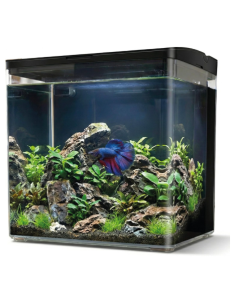 Aqpet Neya Acquario 5LT - 20x15x20H  Nero Completo Accessoriato