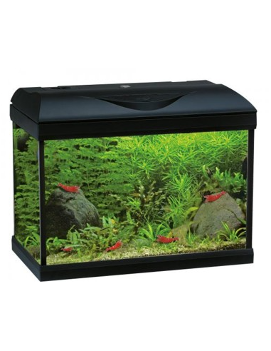 Acquario Amtra technik basic 80 led acquario completo sistema illuminazione e filtraggio 85 lt - Bianco