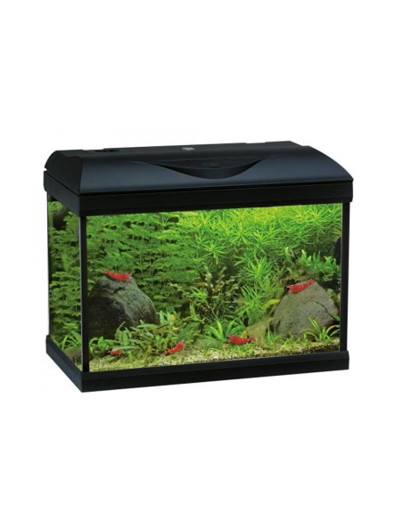 Acquario Amtra technik basic 80 led acquario completo sistema illuminazione e filtraggio 85 lt - Bianco