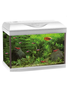 Acquario Amtra technik basic 80 led acquario completo sistema illuminazione e filtraggio 85 lt - Bianco