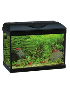 Acquario Amtra technik basic 80 led acquario completo sistema illuminazione e filtraggio 55 lt - Bianco