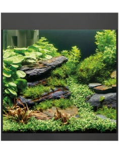 Acquario Oase Style line 85 Nero accessoriato L 50 W 36 H 45 - 75LT 2