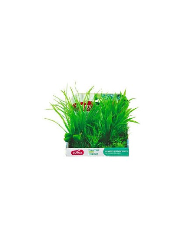 zolux plantkit medium assortimento piante artificiali