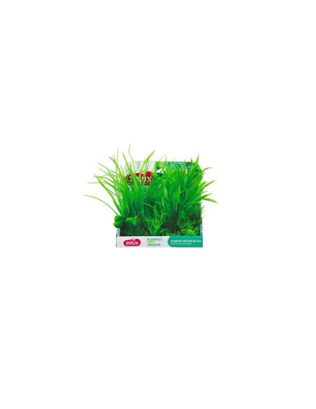zolux plantkit medium assortimento piante artificiali