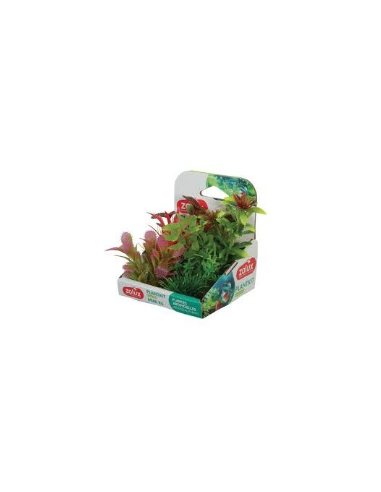 Zolux plantkit mini assortimento piante...