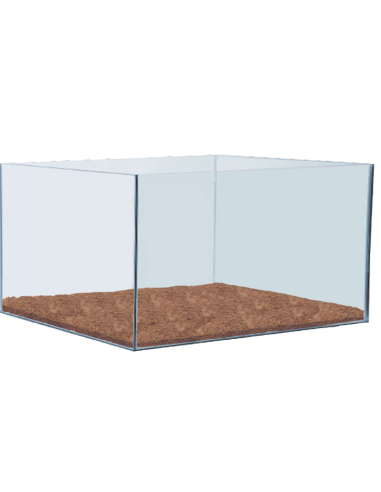 Prodac fertil peat plate zolle concimate per...