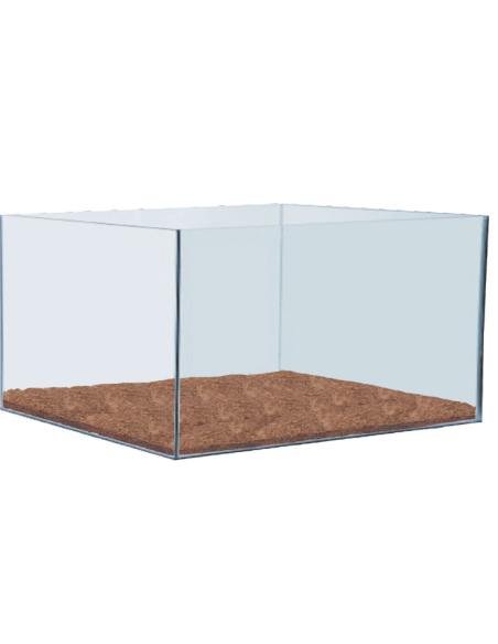 Prodac fertil peat plate zolle concimate per piante 3 pezzi