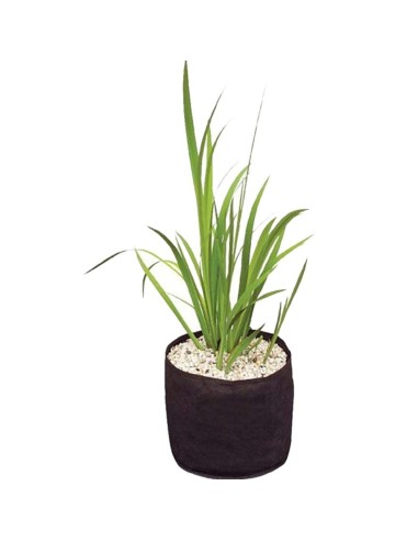 Velda plant basket 15x15 vasi per piante da laghetto