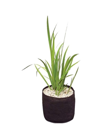 Velda plant basket 15x15 vasi per piante da laghetto