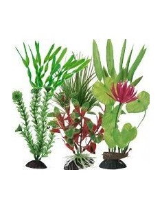 Ottavi pianta in plastica vari colori cm 15