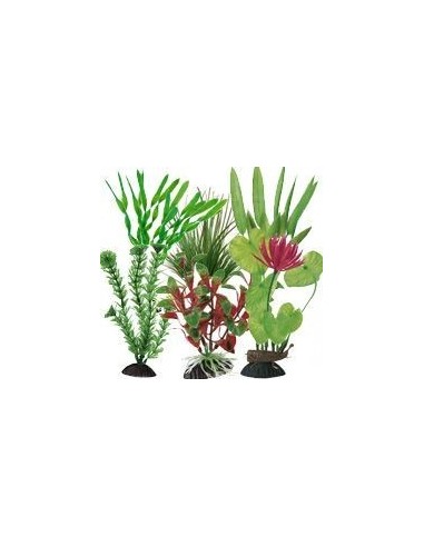 Ottavi pianta in plastica vari colori cm 20