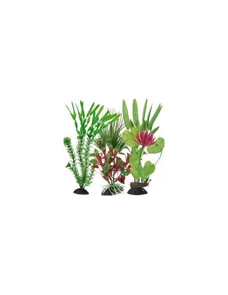 Ottavi pianta in plastica vari colori cm 37