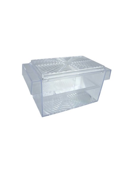 Zolux Nido Parto Guppy Tank