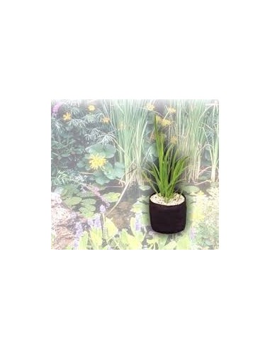 Velda Plant basket 30 x 30 x 25cm (vaso...
