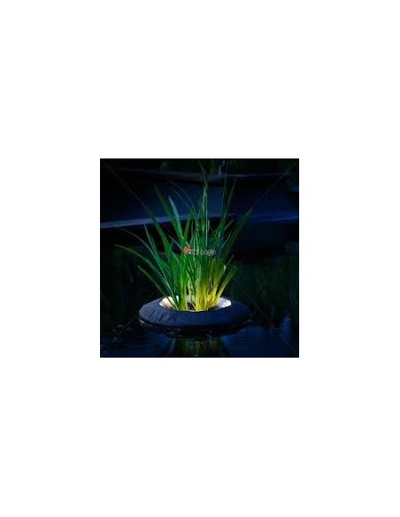 Velda Plant basket 30 x 30 x 25cm (vaso galleggiante per piante da laghetto)