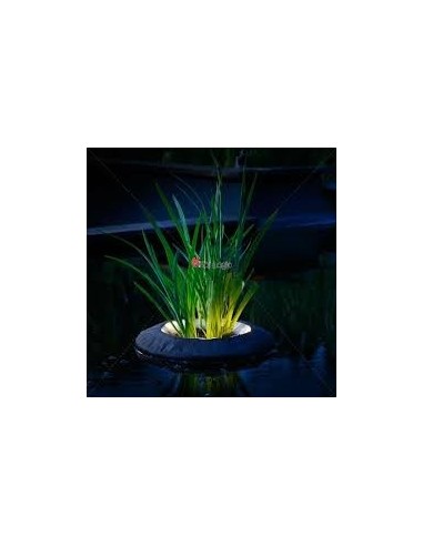 Velda Plant basket tondo 25 x 20cm (vaso...