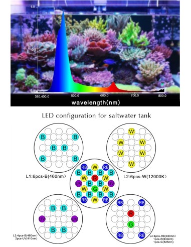 Apha 120 Palfoniera led