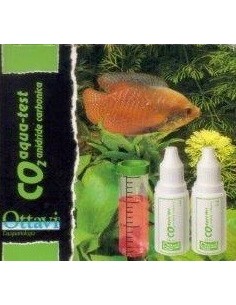 Ottavi test CO2 anidride carbonica