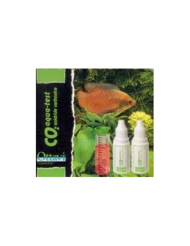 Ottavi test CO2 anidride carbonica