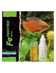 Ottavi test FE ferro