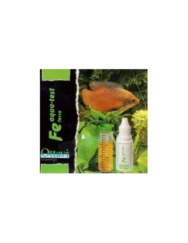 Ottavi test FE ferro