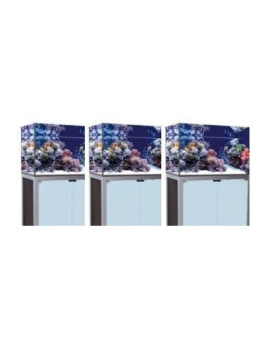 Acquario Artiginale Dreaming 100x60x60h con supporto
