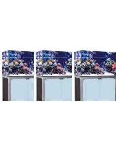 Vasca Acqaurio Artigianale Professionale Dreaming 150X50X70H con supporto 2