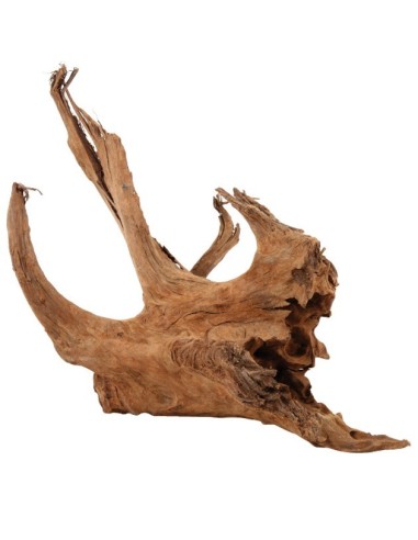 ZOLUX RADICE DI MANGROVIA LARGE