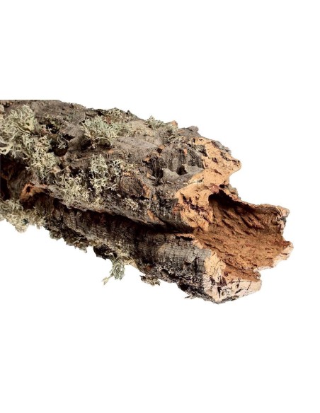 Sughero a lastre cm 20/25 cm al pezzo